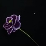 Harisnyavirág lila harisnyából, zseníliadróttal