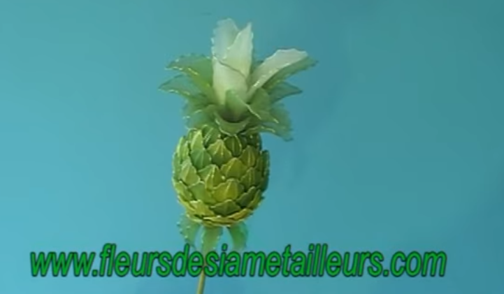 harisnyavirág ananász 6
