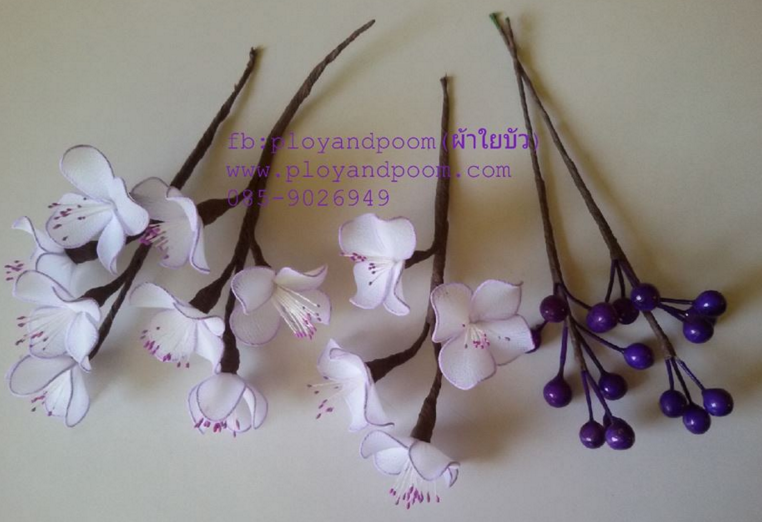 harisnyavirág lila fehér 10