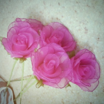 Valentin-napi harisnyavirág rózsa sablonnal