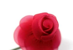 rózsa harisnyavirág